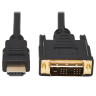HDMI to DVI Gold Digital Video Cable