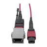 MTP/MPO BASE-8 FIBER ADAPTER OM4 C TO B