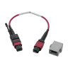 MTP/MPO BASE-8 FIBER ADAPTER OM4 C TO B