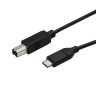 3m 10 ft USB C to USB B Cable - USB 2.0