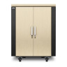 CX 18U Secure Soundproof rack SP