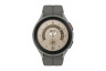 Watch5 Pro LTE 45mm Titn. - Grey