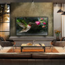 OLED B4 55 4K Smart TV 2024