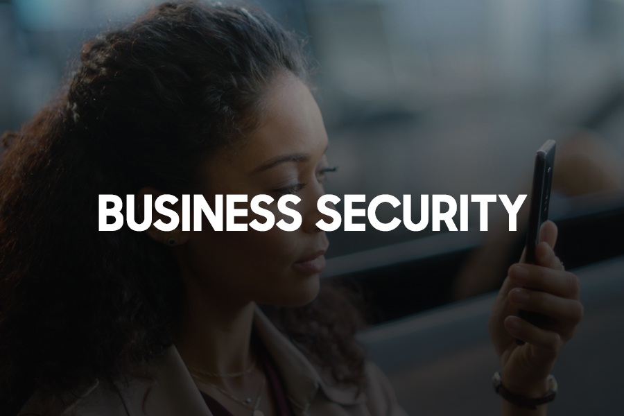 Business Security 